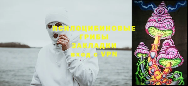 героин Ельня