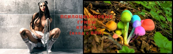 героин Ельня