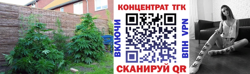 Купить  Назрань  Дистиллят ТГК Wax 