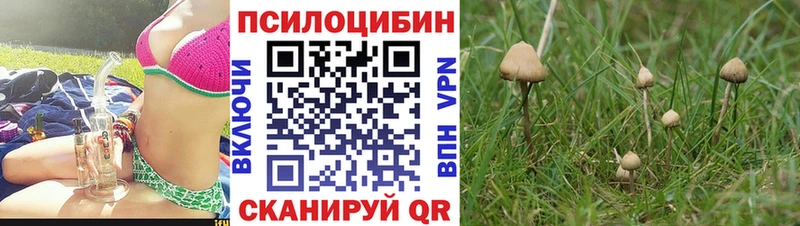 Галлюциногенные грибы Magic Shrooms  Купить закладки  Назрань 